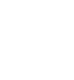 ACCU Battery